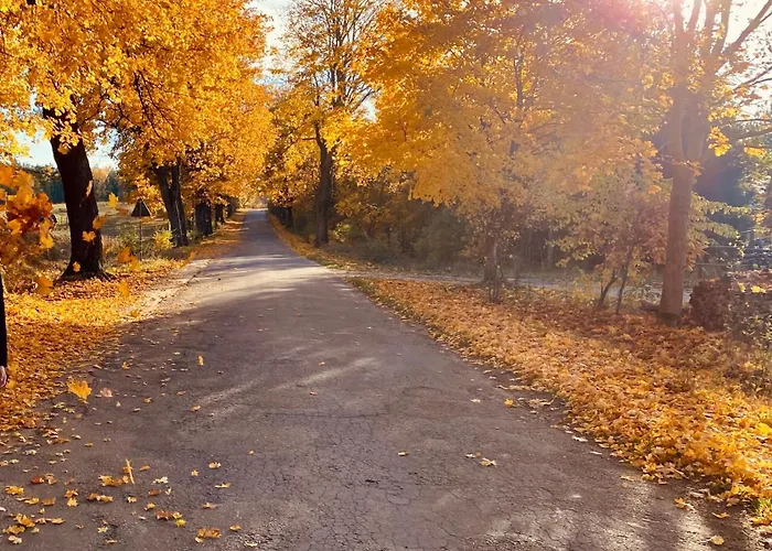 Wakajki - Z Balia Blisko Jeziora I Centrum Mikolajek